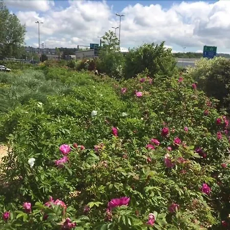 Ibis Budget Lausanne-bussigny * Crissier