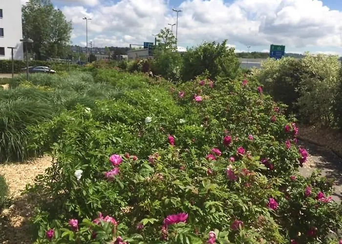 Ibis Budget Lausanne-bussigny * クリシエ